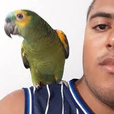 Billy Aestiva e Carlinhos